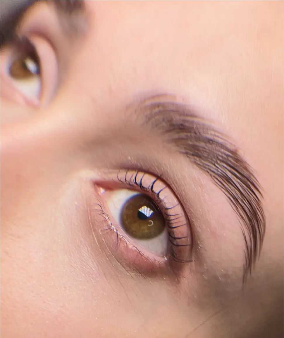 brows