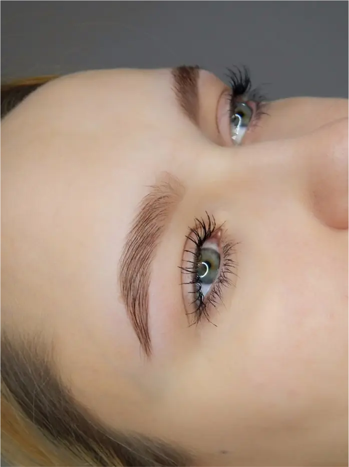 brows